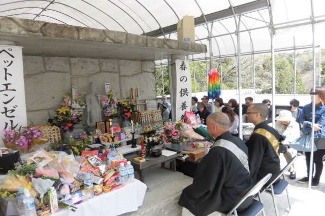 第３１回　春の供養祭を執り行いました