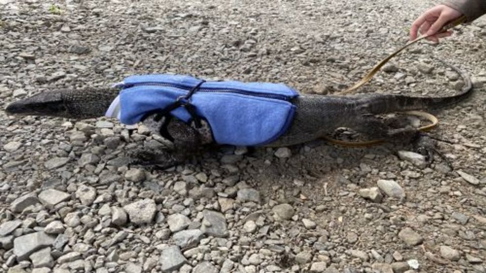 第36回　秋の供養祭を執り行いましたpart2